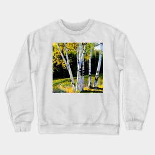 Birch Trees in Autumn Crewneck Sweatshirt